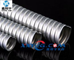 XY-0617 镀锌金属软管